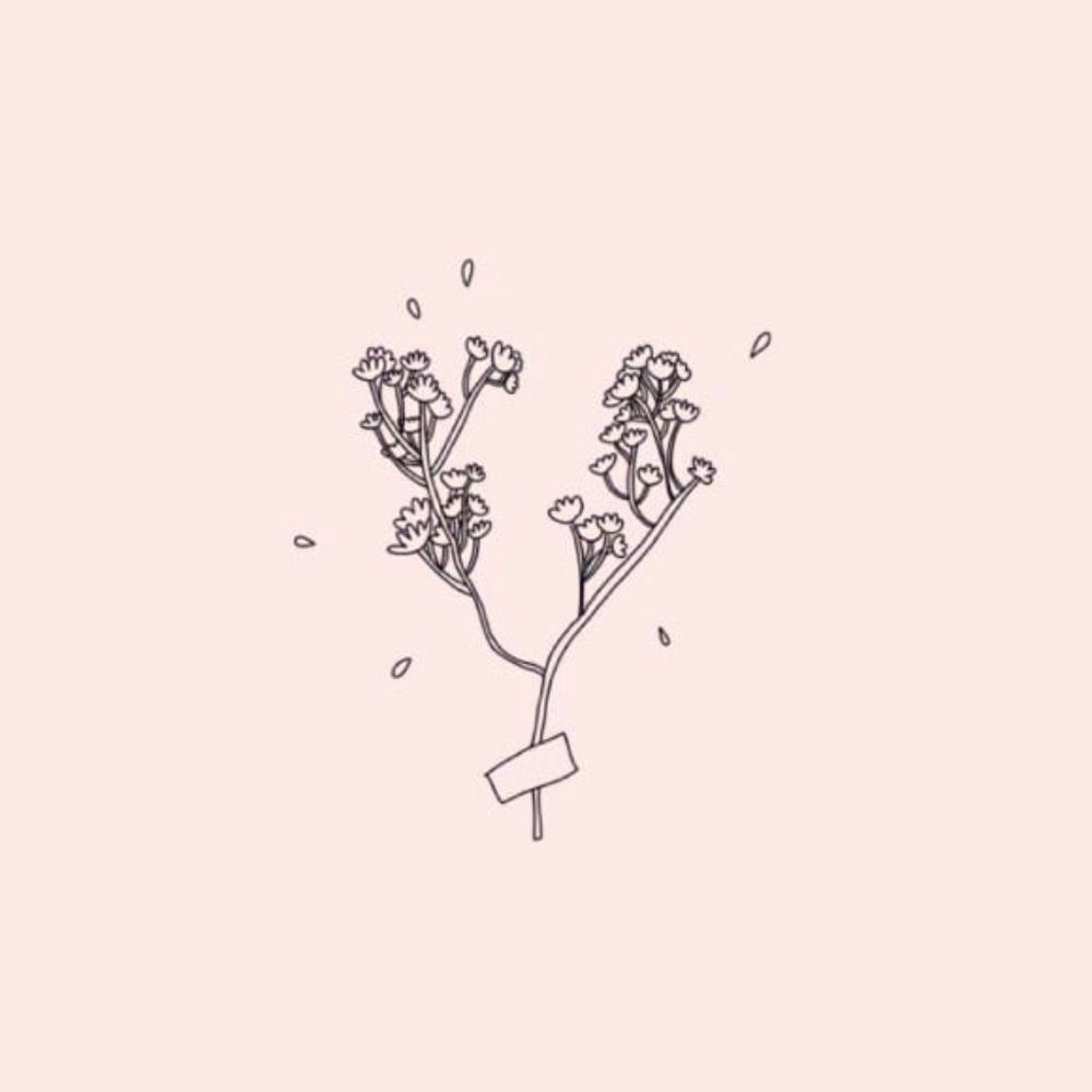 Meet your Posher, Quinn